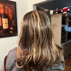 Stylish Blonde and Brown Hair Highlights
